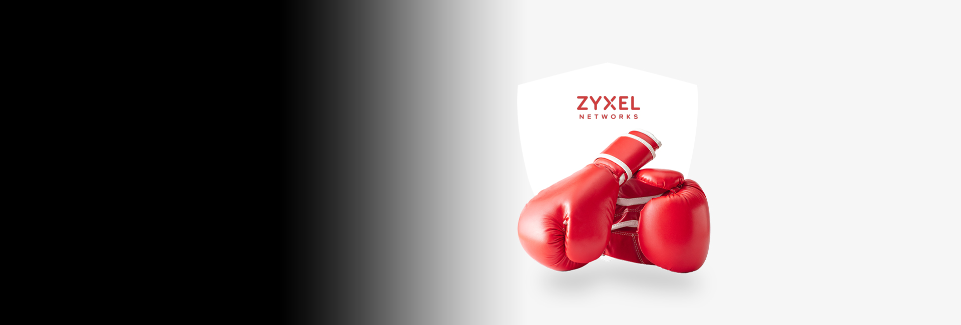 Zyxel Network Security